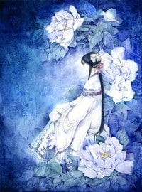 愛情實習律師